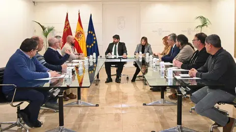 Un momento de la reuni&oacute;n con el comit&eacute; de empresa de Sabic. (CARM)