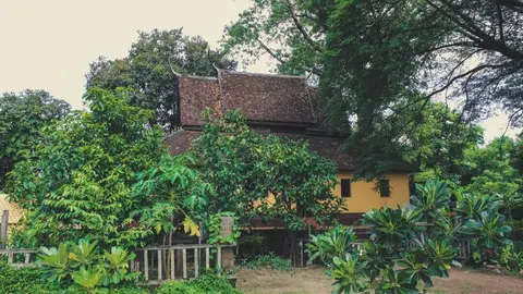Una vivienda en la huerta. (Splash)