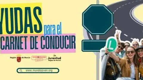Cartel de las ayudas de la Comunidad para que j&oacute;venes se saquen el carnet. (CARM)