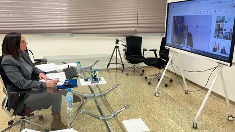 La consejera de Agricultura, Sara Rubira, participa en la reuni&oacute;n telem&aacute;tica con el ministro Luis Planas para abordar la futura PAC, el acuerdo con Mercosur y las reivindicaciones del sector pesquero. (CARM)