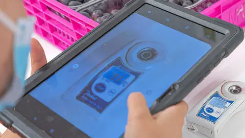 Un trabajador de Moyca realiza un procedimiento de calidad
