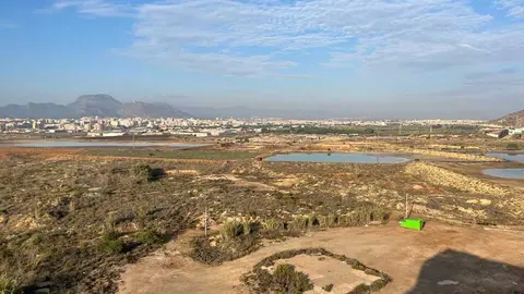 20260130 Terrenos Zinsa F01