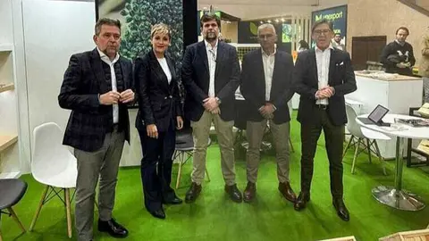 Representaci&oacute;n de cricket en Fruit Log&iacute;stica. (Cricket)