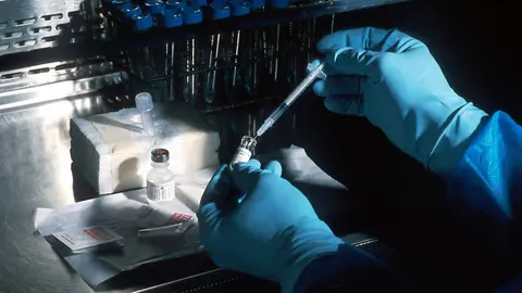 Ciencia. (National Cancer Institute/Splash)