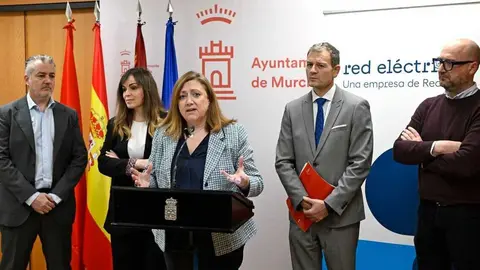 Presentaci&oacute;n del proyecto. (Red El&eacute;ctrica)