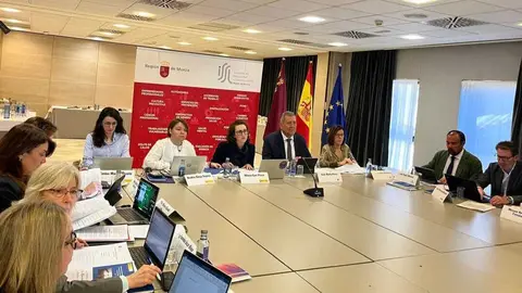 Reuni&oacute;n de la Red Interterritorial de Seguridad y Salud en el Trabajo (RISST). (CARM)