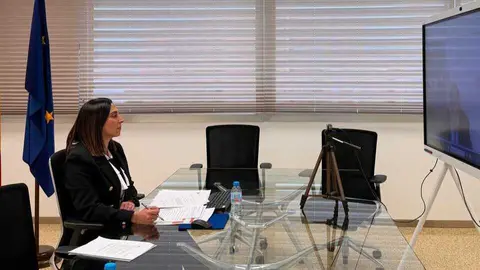 La consejera Sara Rubira durante la reuni&oacute;n telem&aacute;tica de la Conferencia Sectorial. (CARM)