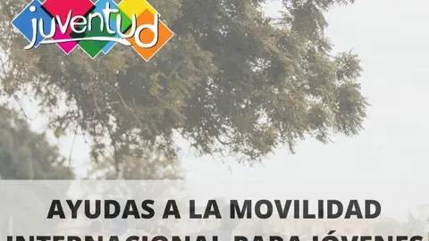 Cartel de las ayudas a la movilidad internacional del consistorio cartagenero. (Ayuntamiento de Cartagena)