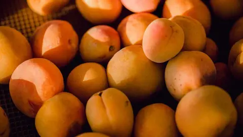 Albaricoques. (Freepik)