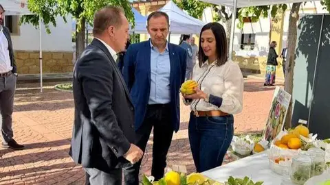 Imagen de la consejera Sara Rubira durante el desarrollo del acto de presentaci&oacute;n de los proyectos FEDER del Imida. (CARM)