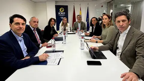 Un momento de la reuni&oacute;n del consejo de administraci&oacute;n del Icref. (CARM)