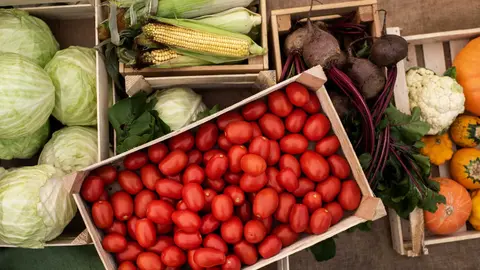 Verduras. (Freepik)