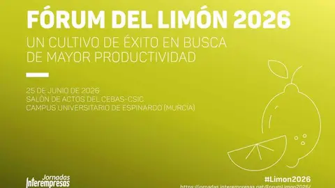 Cartel del F&oacute;rum del Lim&oacute;n 2026. (Fakoy)
