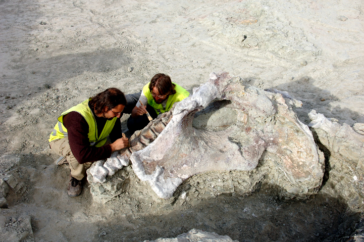 UNED dinosaurios ibéricos