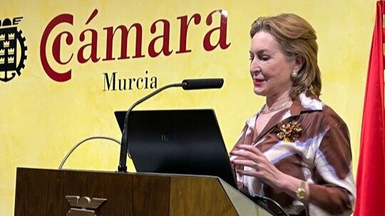 Conferencia de Trinidad Herrero en la jornada de la UMHC en la Cámara de Murcia. (UMHC)