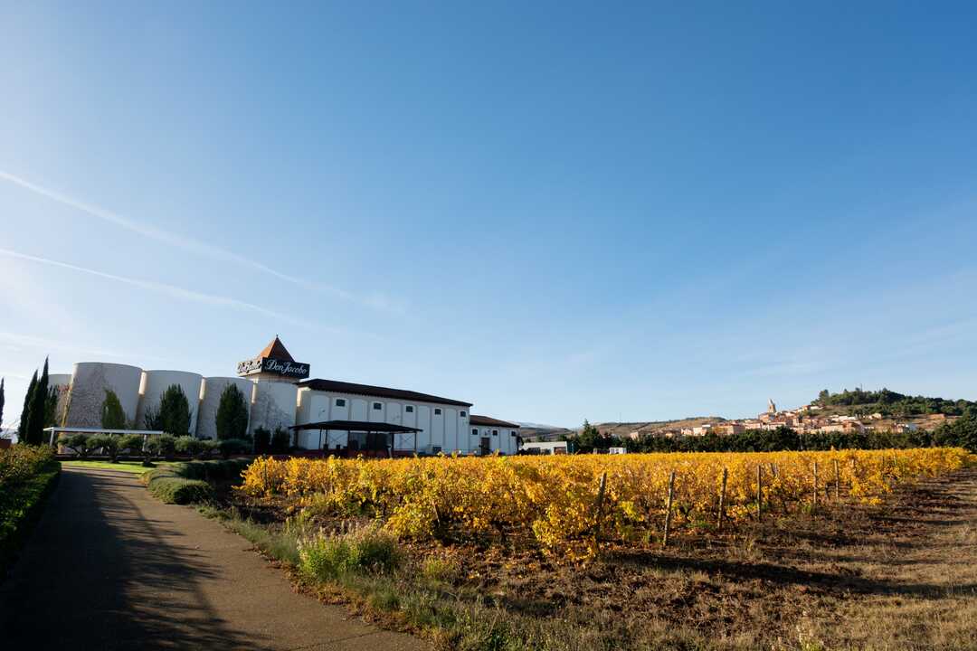 Instalaciones Bodegas Corral. (Grupo Fuertes)