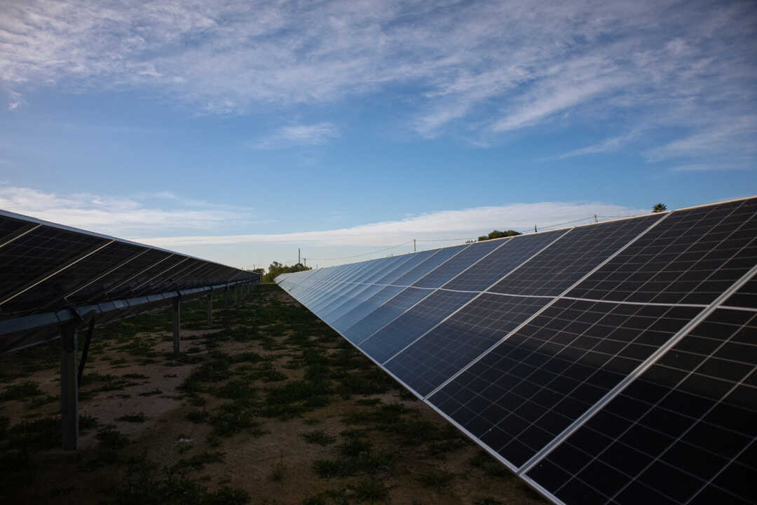 Primer huerto solar propio de Konery